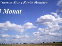 AAPa 3 Monat