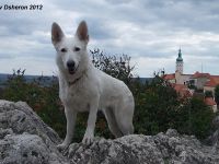 13.5.12. Mikulov 028