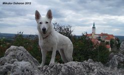 13.5.12. Mikulov 028