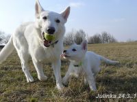 Julinka24.3.18A Julinka24.3.18A