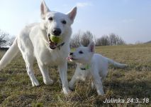 Julinka24.3.18A Julinka24.3.18A