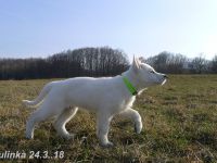 Julinka24.3.18B Julinka24.3.18B