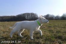 Julinka24.3.18B Julinka24.3.18B