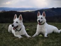 Duben Kudlov2020 Duben Kudlov2020