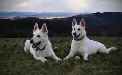 Duben Kudlov2020 Duben Kudlov2020