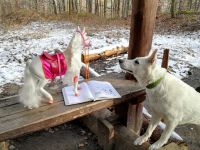 Event Geocaching 29.2.2020 Event Geocaching 29.2.2020