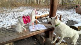 Event Geocaching 29.2.2020 Event Geocaching 29.2.2020