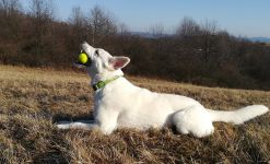 Irka tr  nink stop Kudlov 10.2.2020 Irka tr  nink stop Kudlov 10.2.2020