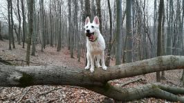 vych  zka 4.4.2020 vych  zka 4.4.2020