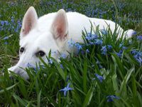 17498504 1413780998692754 3611055309372290410 n