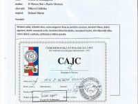 CAJC1