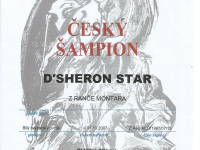 Cesky sampion