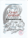 Cesky sampion