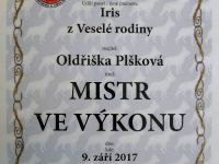 Mistr ve vykonu