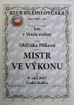 Mistr ve vykonu