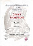 Sampion CR Klea