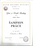 Sampion prace